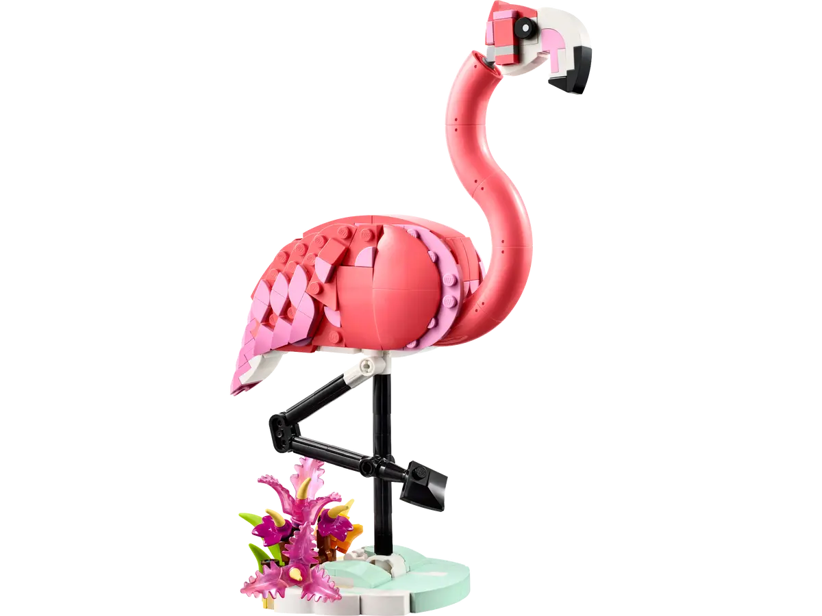 Rosa Flamingo Rosa Flamingo