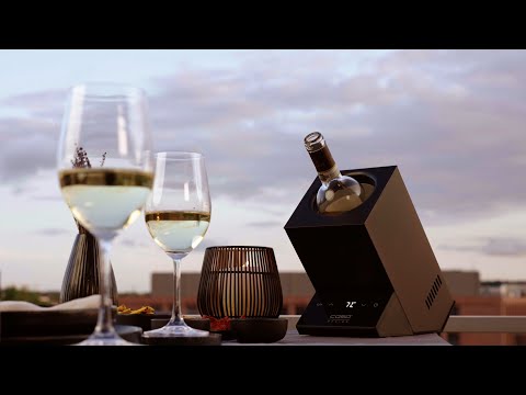 Wine Case One Inox