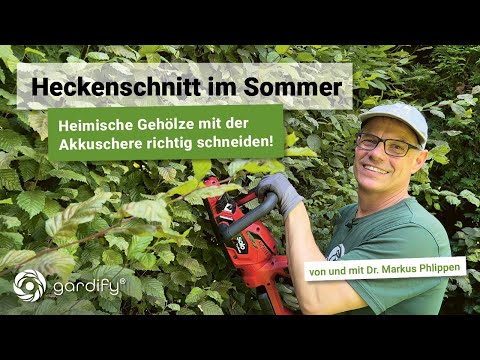 Akku Heckenschere HT 4245 (ohne Akku, Ladegerät und Gürteltasche)