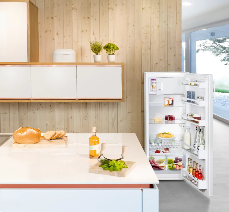 Eis Khlschrank Rckwand